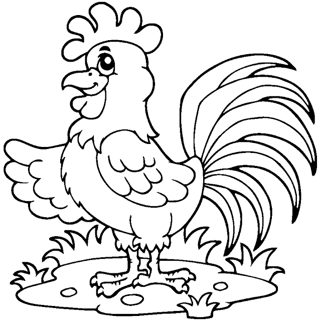 Sketsa gambar ayam untuk anak sd