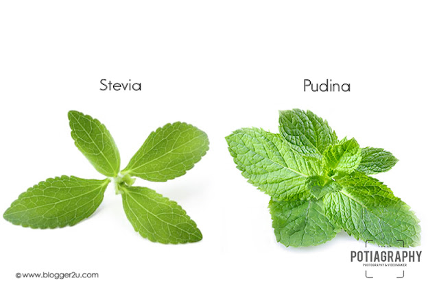 Perbezaan Stevia dan Pudina
