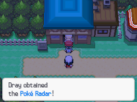 Pokemon Renegade Platinum Screenshot 01