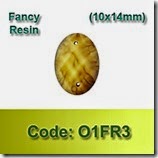 O1FR3 copy