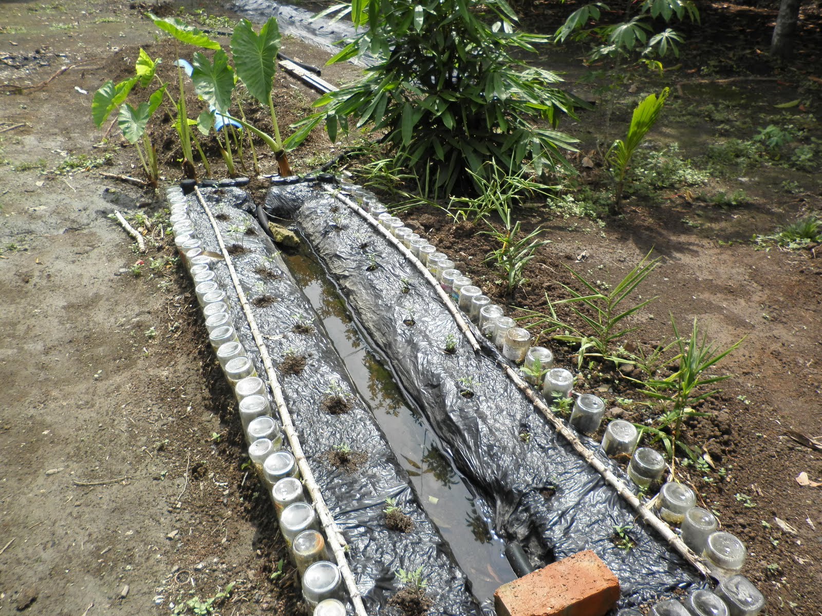 TERBELIAK AQUAPONIC DAN HIDROPONIC: PEMBIKINAN BATAS-BATAS ...