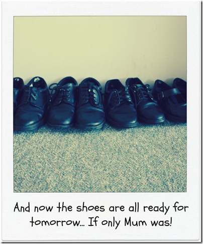 MisterMinitShinyShoes
