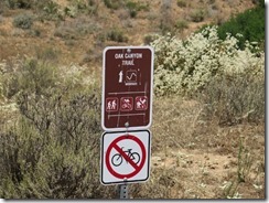 IMG_2078 (640x480)