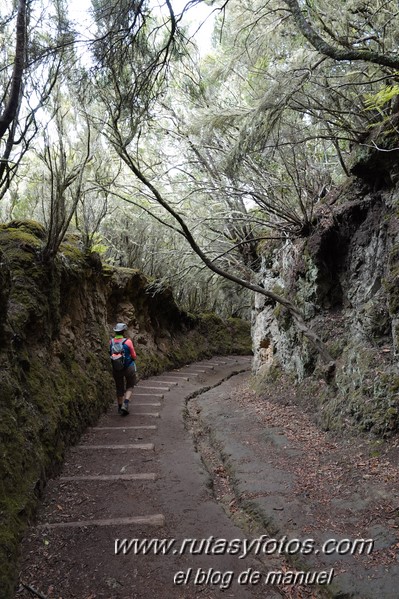 Sendero de los Sentidos - Sendero de los Enigmas