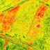 NDVI (Normalized Difference Vegetation Index)