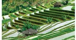 Bentuk Muka Bumi dan Aktivitas Penduduk Indonesia (Materi ...