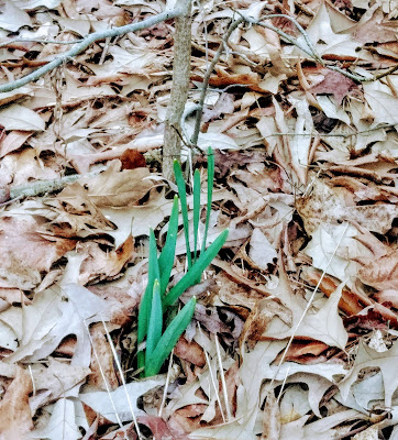 Sign of spring.