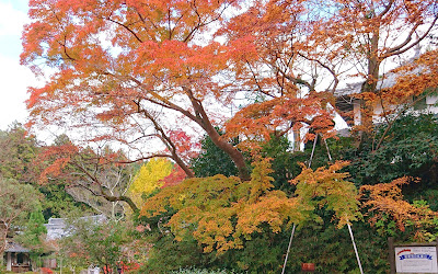 延命寺(河内長野市)