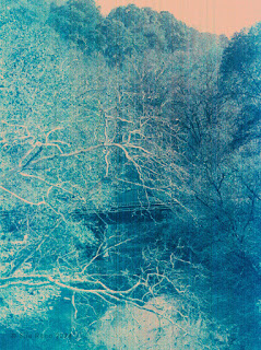 Sue Reno_Lomo Turquoise_image 3