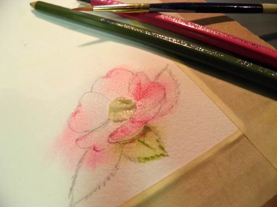BarbDerksen_watercolorrose4