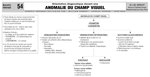 Principales Anomalies du Champ Visuel 