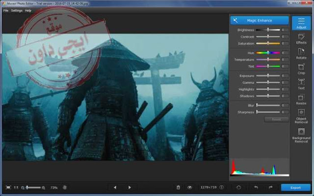تحميل برنامج تعديل الصور والكتابة عليها Movavi Photo Editor 2020
