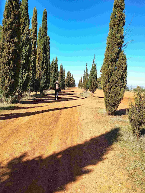 Llano del Perdiz, Granada