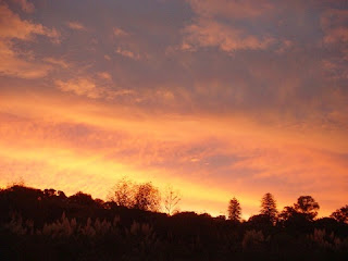 atardecer Nueva Zelanda