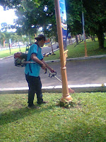 jasa potong rumput panggilan jogjakarta