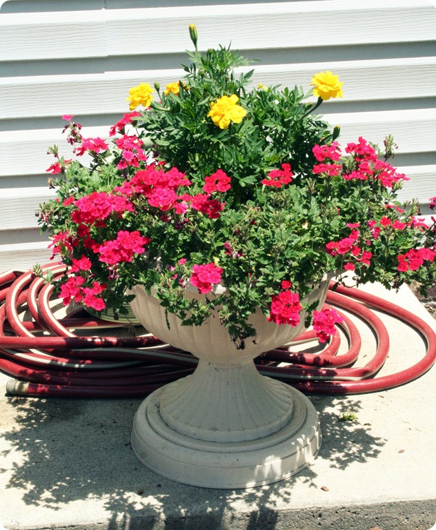 june 2010 120 1