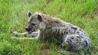 Fort Wayne Children's Zoo - Fort Wayne Childrens Zoo