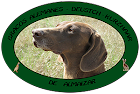 Bracos Alemanes de Almaizar