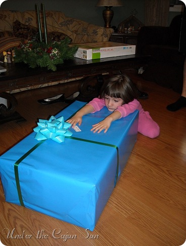 pictures 095-071