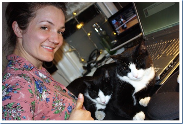 kattkel2