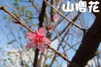 桃園農業改良場台北分場｜佳園路農改場