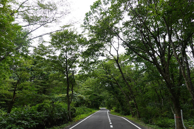 鳥取県西伯郡大山町大山　香取農道