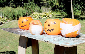 Quick Set Concrete Pumpkins, Bliss-Ranch.com