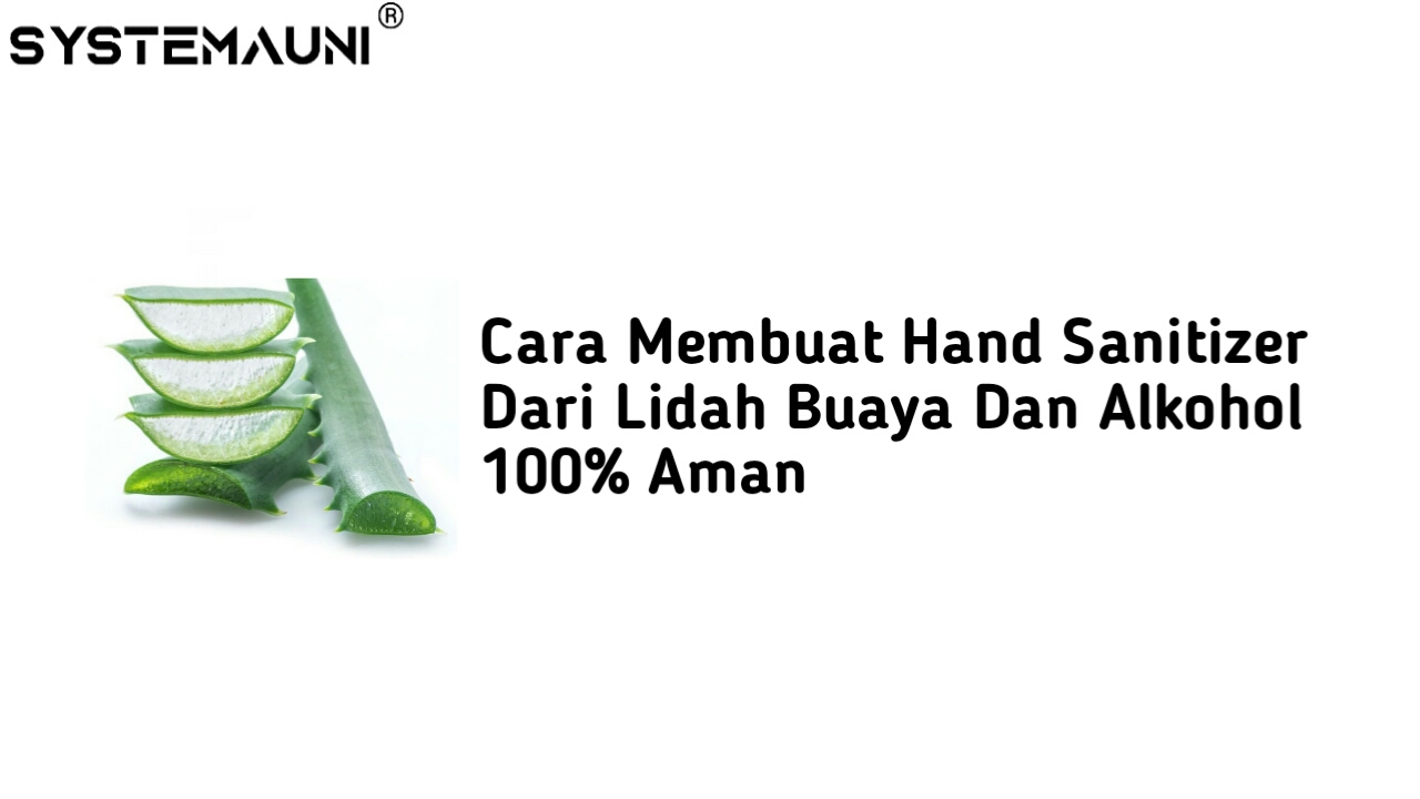 Cara Membuat Hand Sanitizer Dari Lidah Buaya Dan Alkohol 100% Aman