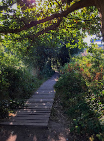 Wooden walkway.  Walk around the Hawkwood Estate 16, 30 August 2016.