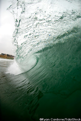 surf stock photography