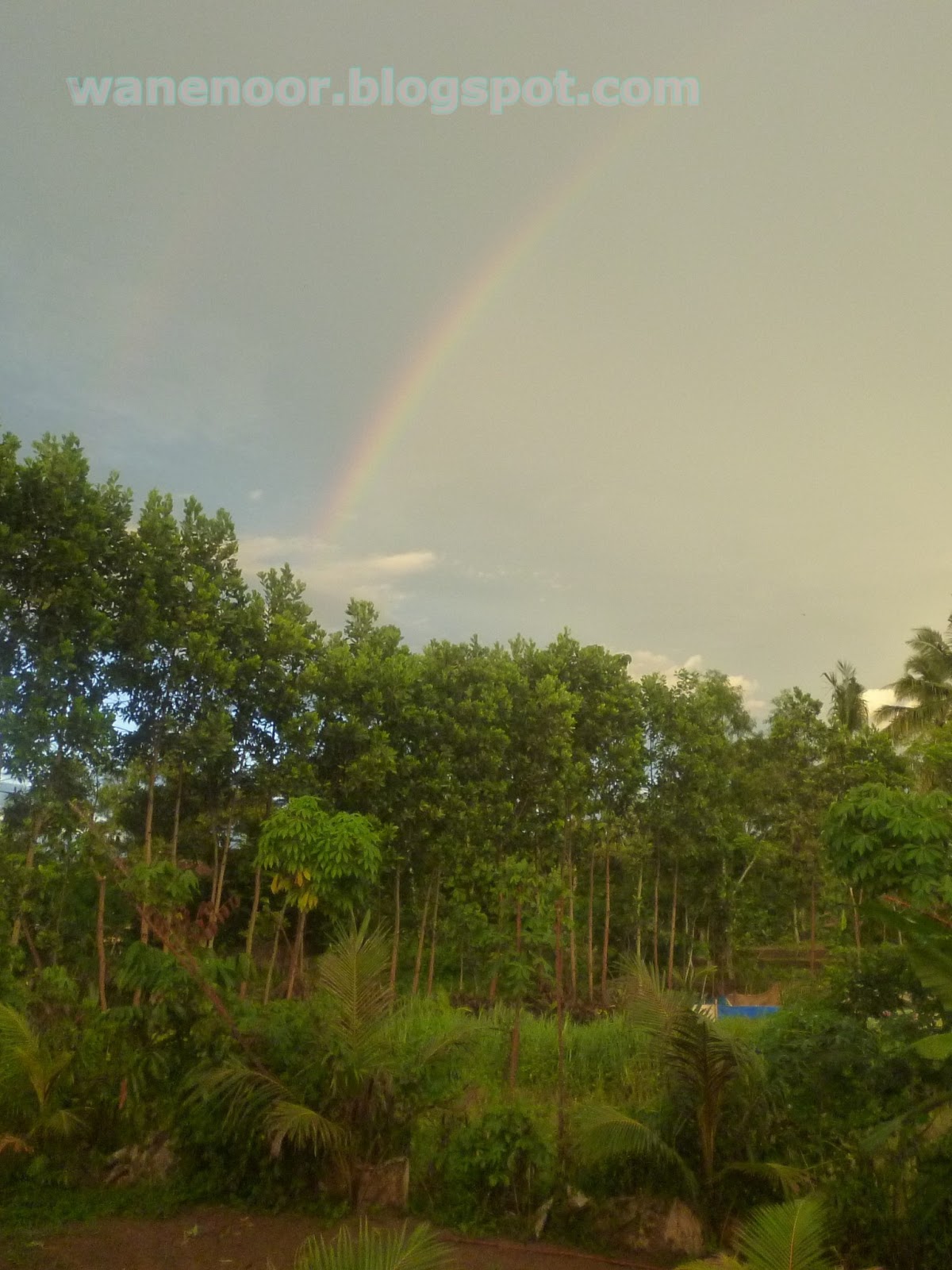 Pelangi Di Kala senja Itu Apa itu Pelangi 