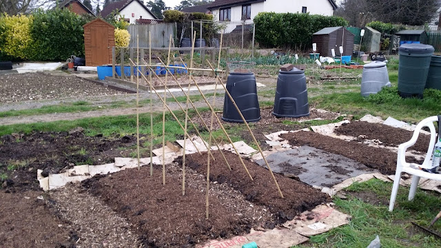 no-dig, nodig, #nodig, allotment blog, organic, grow your own