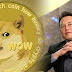 سيستمر إيلون ماسك في شراء Dogecoin على الرغم من انهيار العملة المشفرة