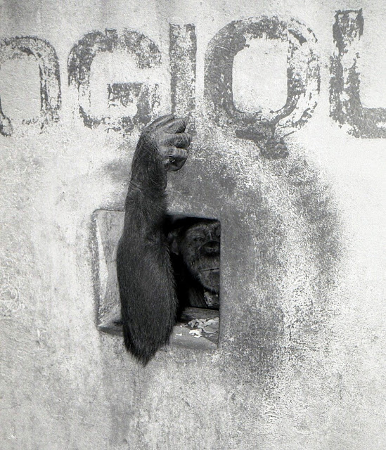 Entrée du zoo de Bobo