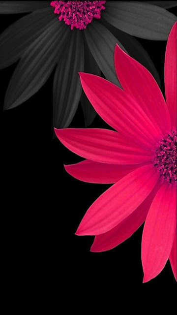 New full hd wallpaper download for mobile 