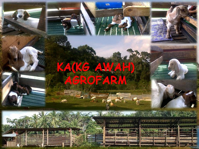 Ka agrofarm: SENARAI UBAT UNTUK KAMBING