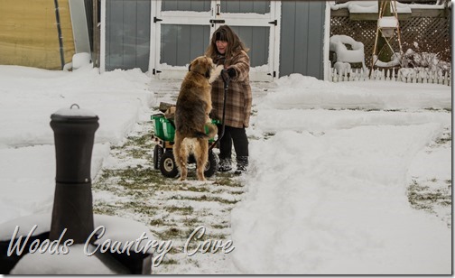JANUARY 2016 (9 of 70)