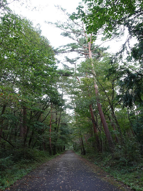 籠立橋バス停に向かいます