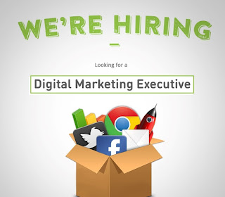 Digital marketing Executive job