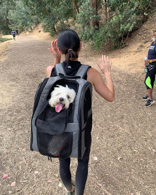 Lucy Hale and dog hike with apollo walker pet carrier backpack