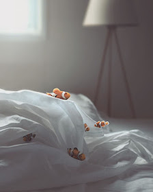 08-Seabed-Zulkarnain-Ismail-Art-and-nature-in-Surreal-Photo-Manipulation-www-designstack-co