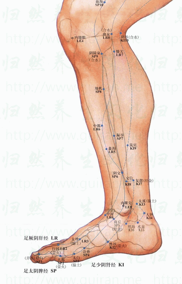 中封穴位置 中封穴痛 穴道按摩與穴位引導經絡功效圖解 穴道經絡引導