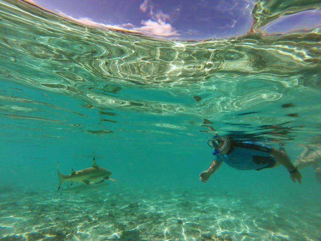 DCIM\100GOPRO