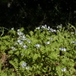 View album