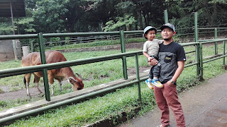 Kebun Binatang Bandung, Low Budget Travel, Bandung