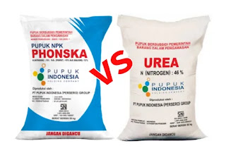 Phonska vs Urea: Mana yang Lebih Baik untuk Tanaman Anda?