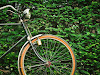 Black Beach Cruiser Bicycle Near Green Hedge during Daytime