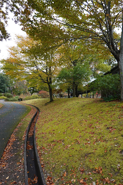 鳥取県西伯郡南部町鶴田　とっとり花回廊　紅葉