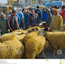 Eid Ul Adha Information With  Images Of Eid For The Muslims