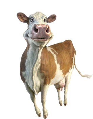 imagen de foto de  vaca png